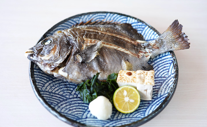 石鯛