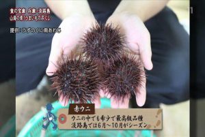 淡路島の絶品生うに 絶景レストラン うずの丘 公式 うずのくに Com 淡路島の南あわじを中心とした観光とランチグルメの情報サイト 淡路島の絶品生うに 絶景レストラン うずの丘 公式 うずのくに Com 淡路島の南あわじを中心とした観光とランチグルメの情報サイト