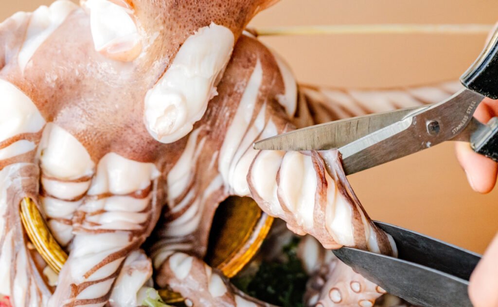 <br /><b>Warning</b>:  Undefined variable $alt in <b>/home/xs311788/uzunokuni.com/public_html/rest/wp/wp-content/themes/swell_child/parts/lunch/tako.php</b> on line <b>54</b><br />